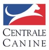 Centrale canine