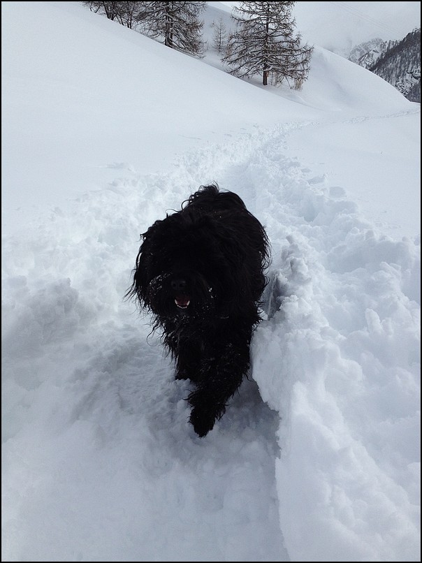 Luuly a la neige 1
