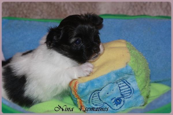 Nina 4 semaines 3