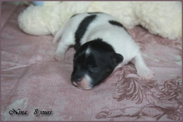 Nina 8 jours 6