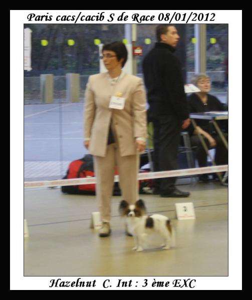 paris-dog-show-08-01-2012-noisette-2.jpg