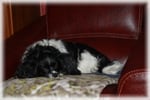 betsy le 06-11-2011