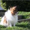 chopin 20-03-2014 1 chopin 20-03-2014 1
