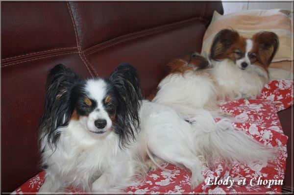 elody et chopin mars 2014