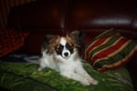 heidi 5 mois 003