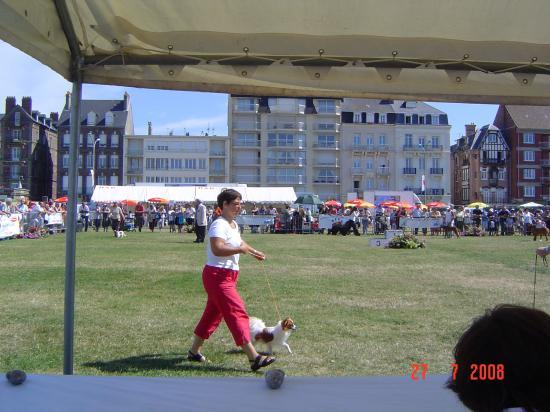 expo Dieppe 07/08