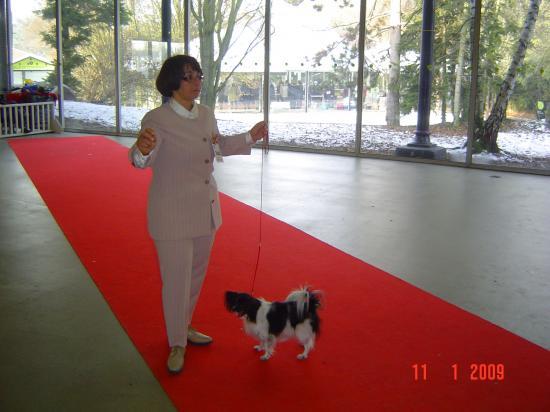 Paris Dog Show 01/09