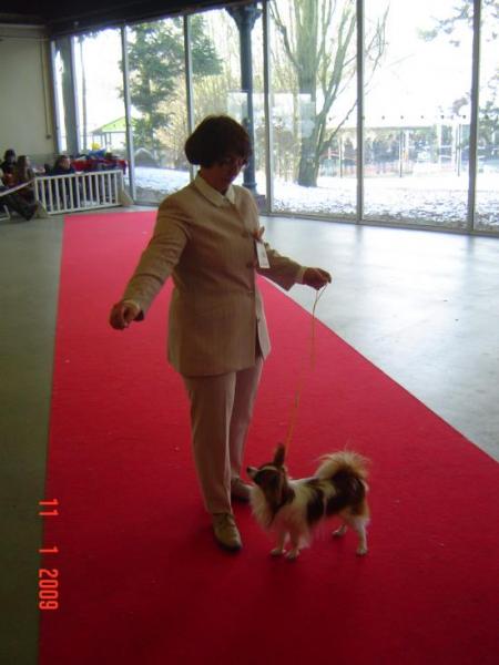 Paris Dog Show 01/09