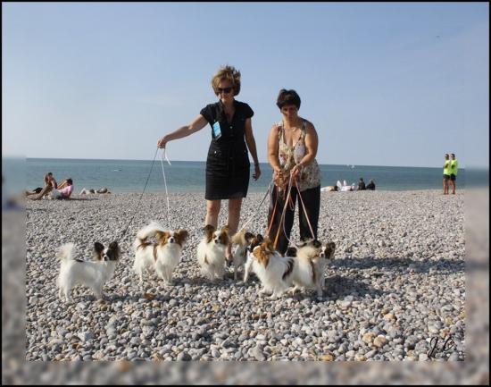 sur les gallets de Dieppe