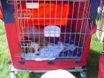 Expo Evreux