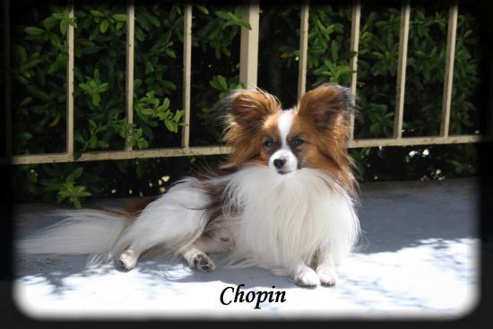 chopin