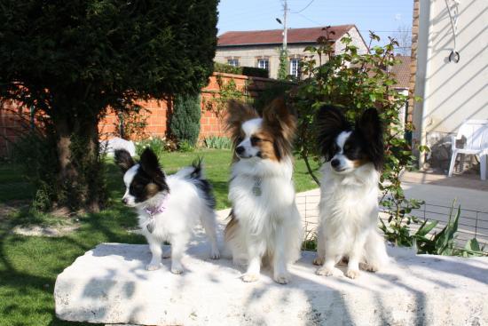 les 3 derniers