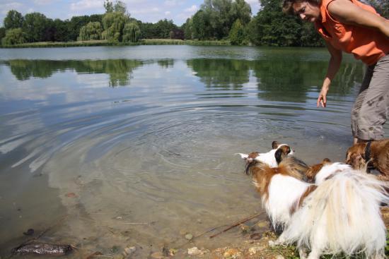 partie de jeux dans l'eau