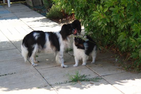 galy et maman