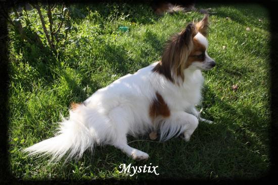 mystix