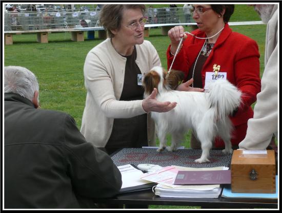 Evreux 2010