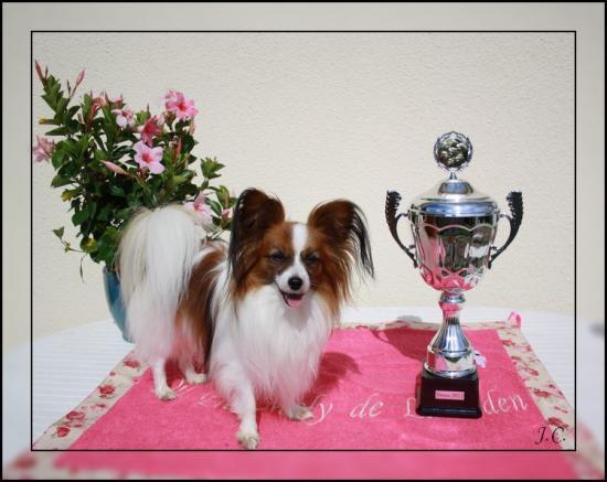 CHOPIN-DREUX-2011-2.jpg