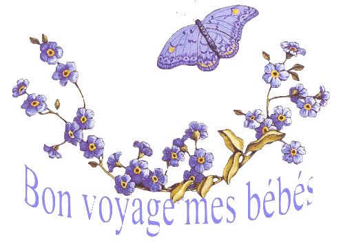 bon-voyage-mes-bebe-1.gif