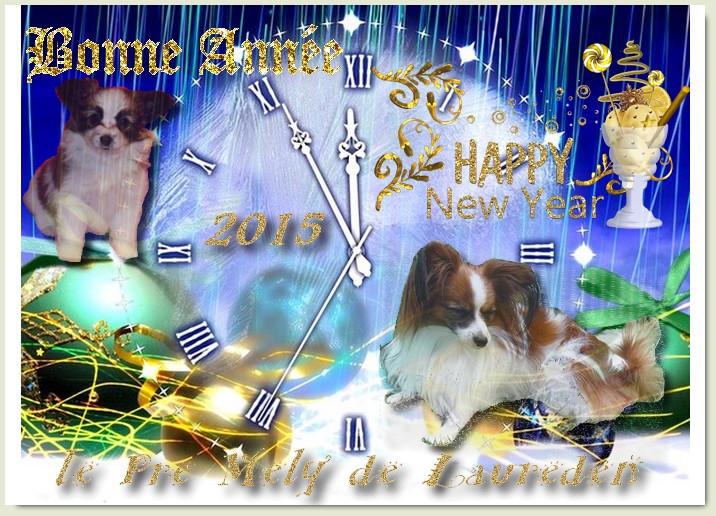 Bonne annee 2015