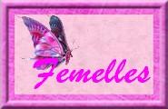 Femelles