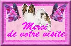 merci de votre visite