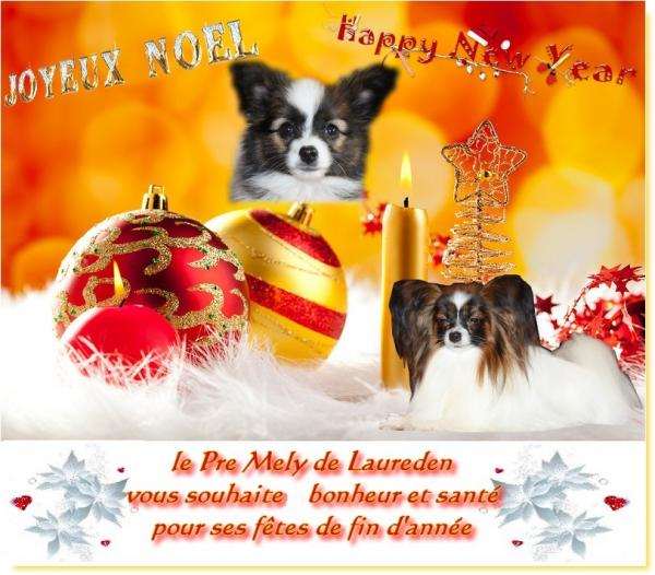 Carte de noel