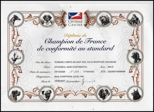 Diplome de champion de france romane jpg 2