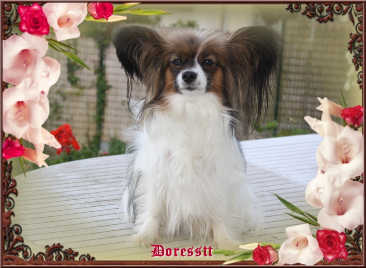 Dorssette 3 ans 1