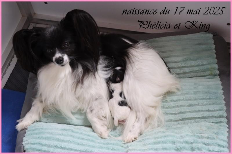 Femelle 3 jours 1