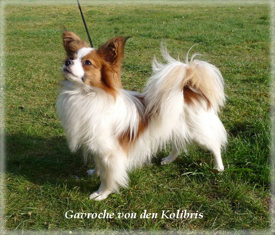 gavroche-mars-2010-1-1.jpg