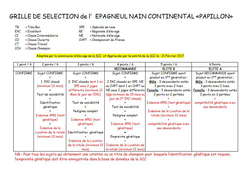 Grille cotation pap