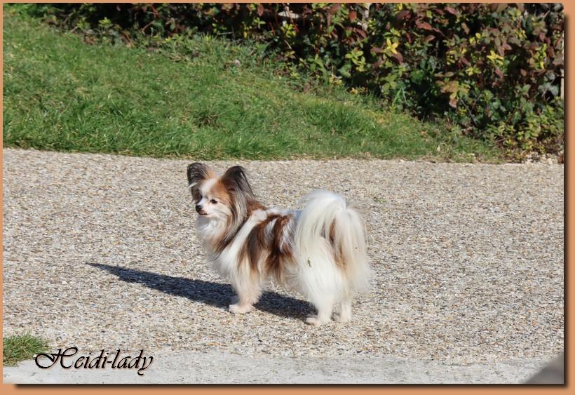 Heidi lady 13 ans