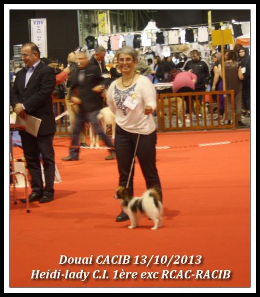 heidi-lady-douai-cacib-10-2013-3.jpg