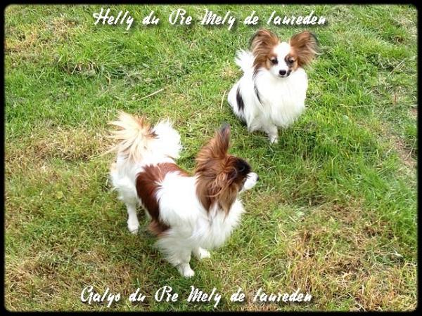 helly-12-mois-1.jpg
