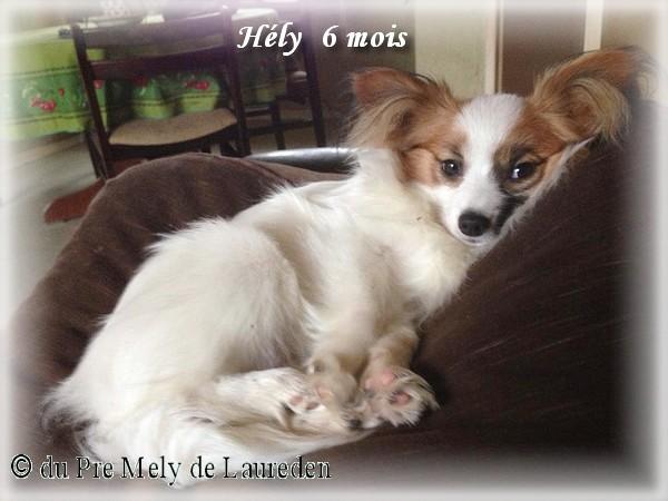 helly-6-mois.jpg