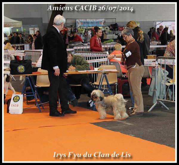 Irys amiens cacib 2014 1