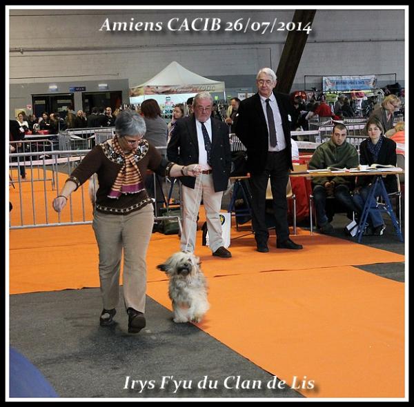 Irys amiens cacib 2014 3