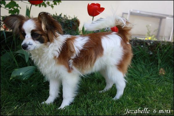 Jezabelle 6 mois 5