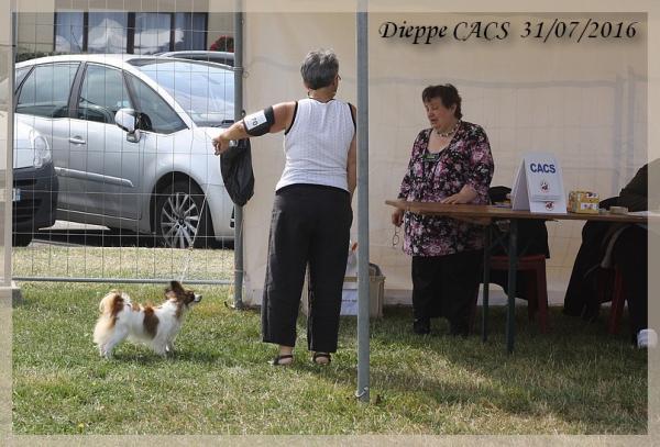 Jezabelle dieppe 2016 2