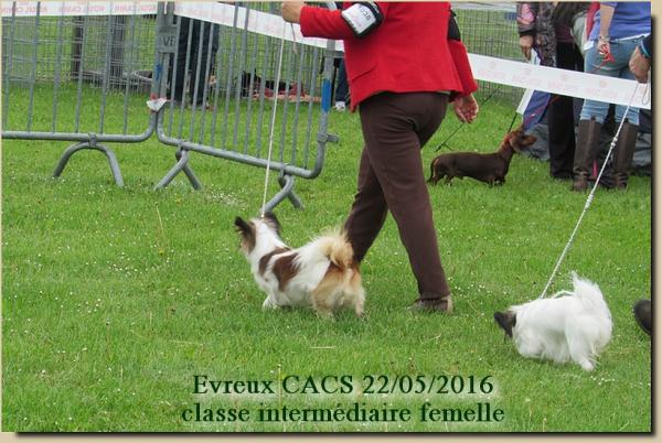 Jezabelle evreux cacs 05 2016 2