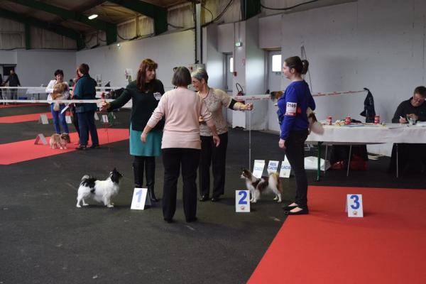 Jezabelle rouen 06 12 2015 1