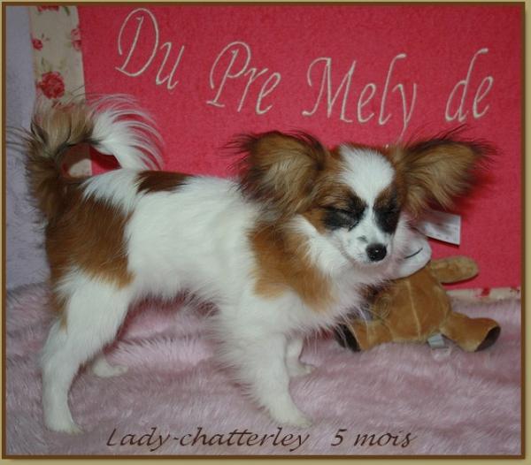 Lady 5 mois 1