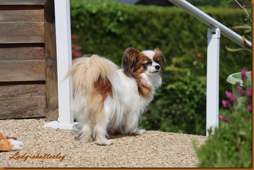 Lady 8 ans 1