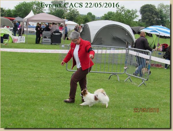 Lady evreux cacs 05 2016 2