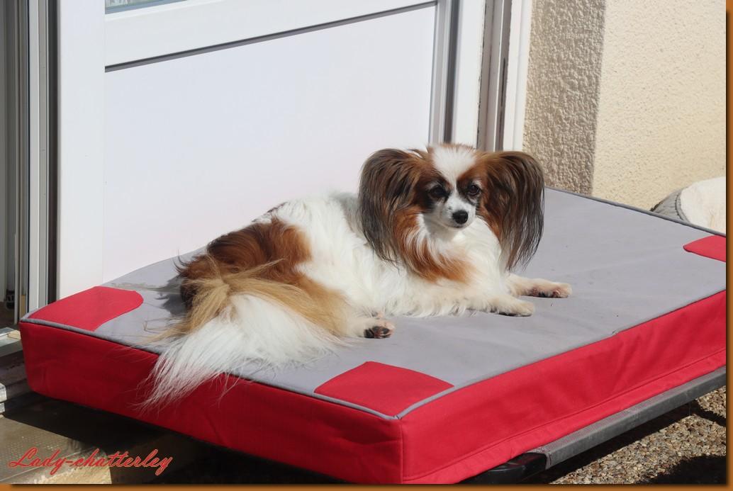 Lady neuf ans 1