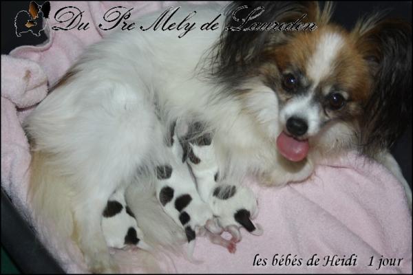 Les bebes a 1 jours 1