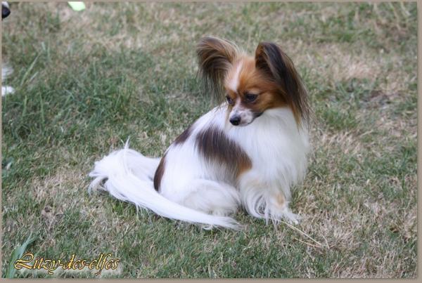 Litzy 2 ans 07 2017 5