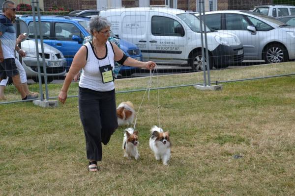 Litzy dieppe cacs 2016 2
