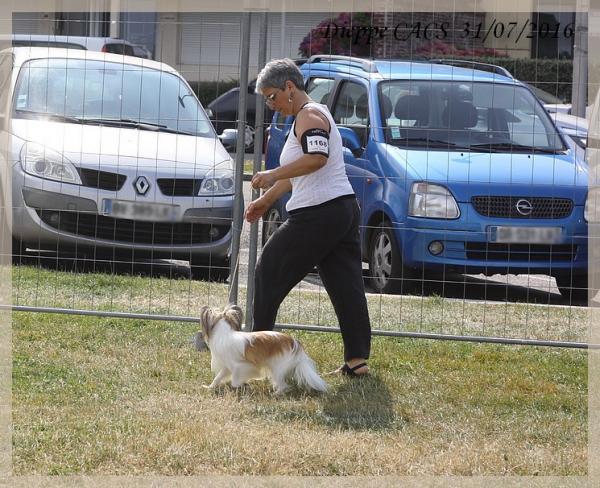 Lorenzo dieppe cacs 2016 2