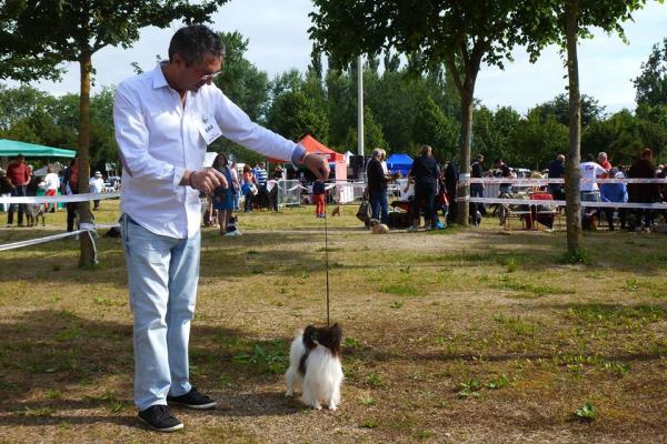 Loulai a aigrefeuille expo 19 06 2016 1